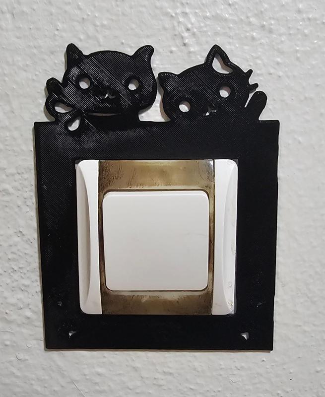 Light Switch cover