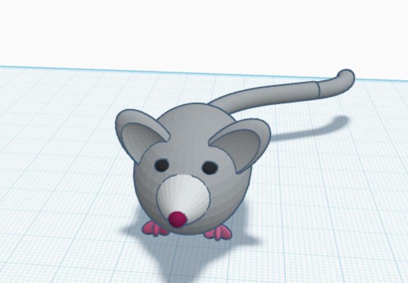 A mouse