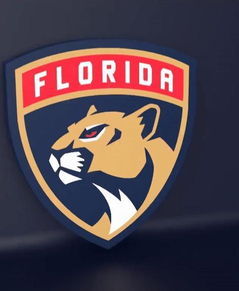 Florida Panthers - LED strip compatible