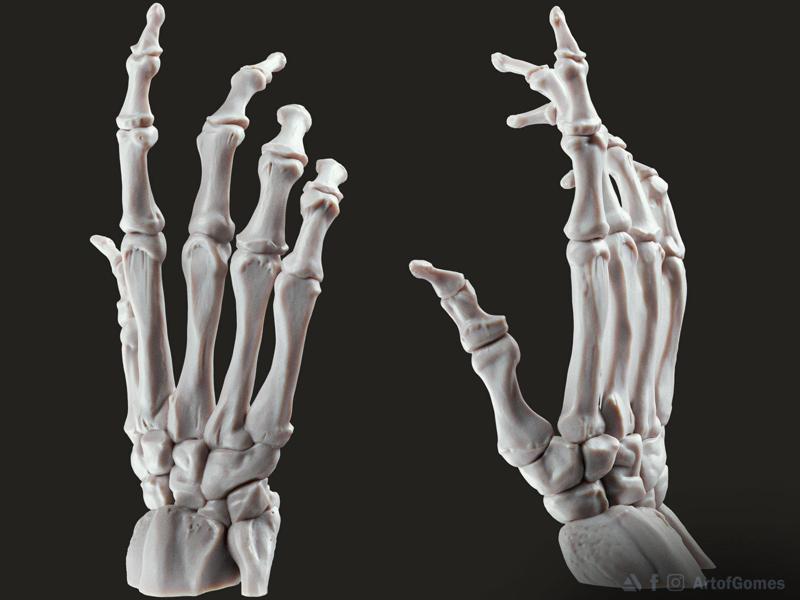 Bone Hand Free STL