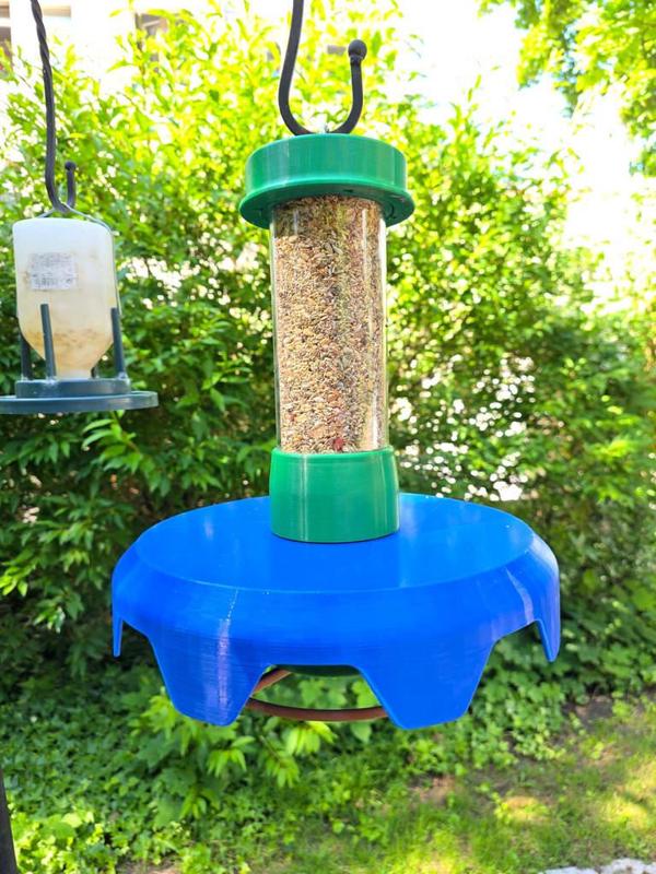 wild bird feeder