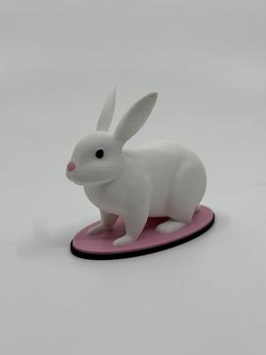 Rabbit