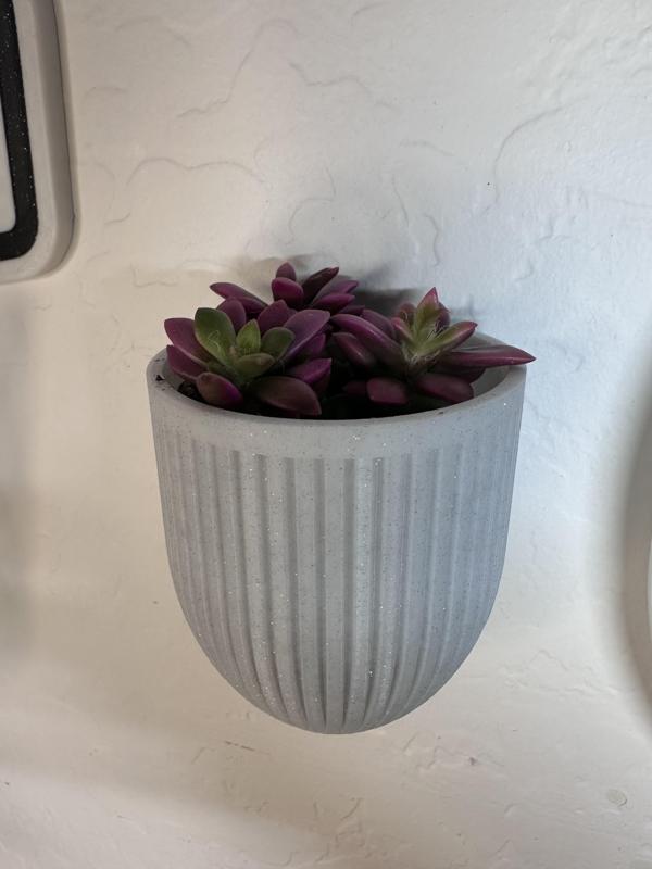 Stylish Wall Mounted Vertical Succulent pot for any office or home. 