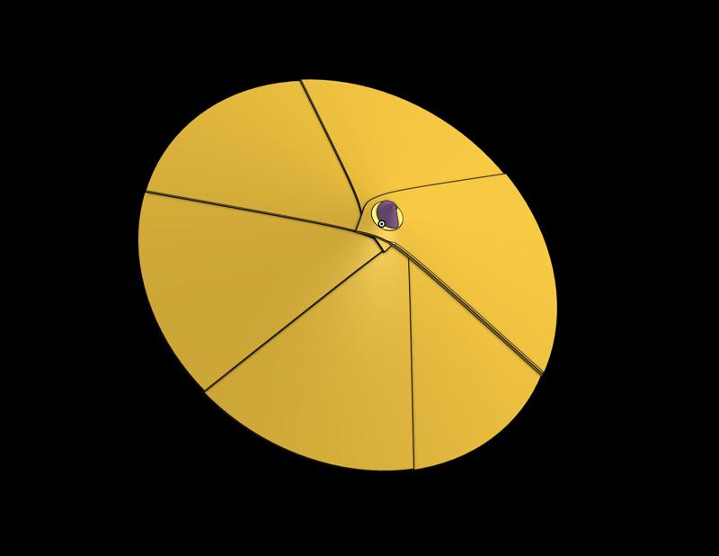 Print in Place Collapsible Rice Hat V1