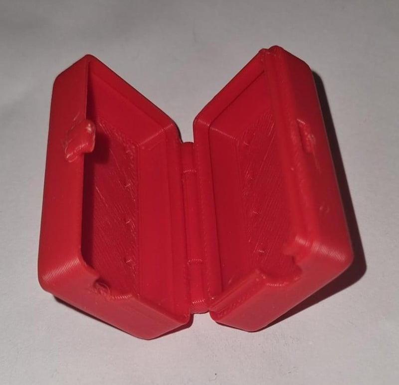 Zahnbürstenschutz / Toothbrush Case