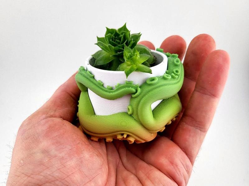 Succulent vase plant pot 