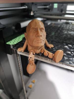 Buddy The Rock Johnson