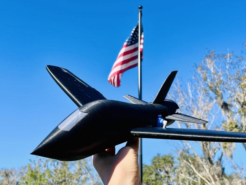 Black Falcon 50mm EDF Optional FPV RC Airplane