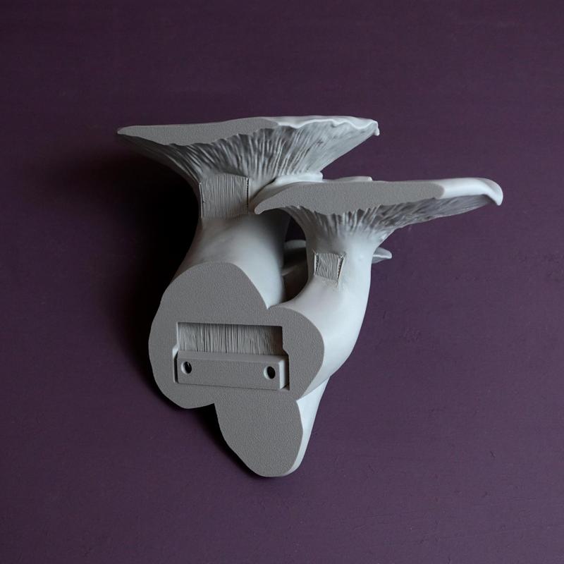 Mushroom shelf “Pleurotus Eryngii"