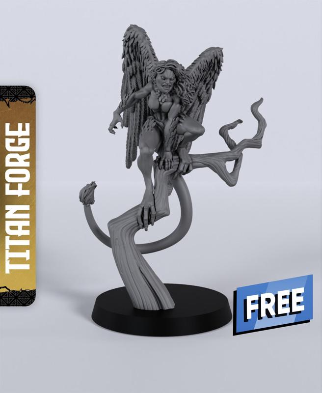 Harpy C - With Free Dragon  - 5e DnD Inspired for RPG and Wargamers