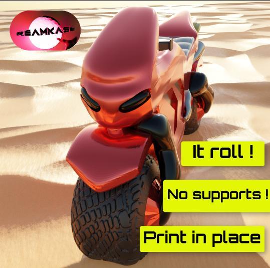 MOTORCYCLE SPORT - PRINT IN PLACE - NO SUPPORT