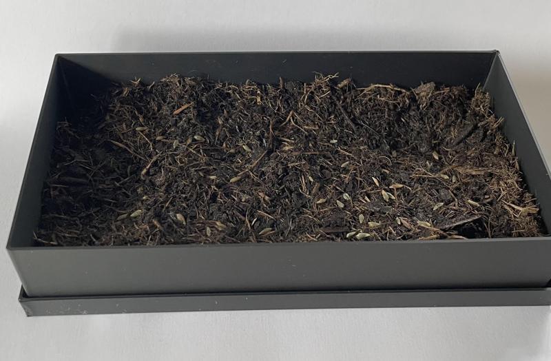 seed tray with tray underneath - plantpot - Anzuchtschale mit Untersetzer 32x75x150mm