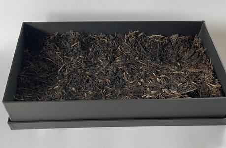 seed tray with tray underneath - plantpot - Anzuchtschale mit Untersetzer 32x75x150mm