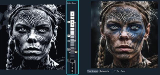 Viking portrait in grayscale (HueForge)