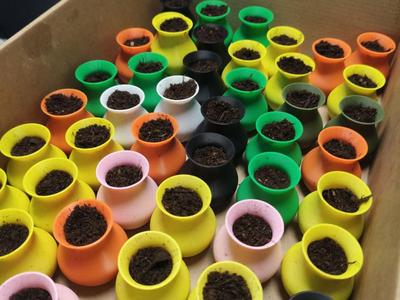 Small pot planter