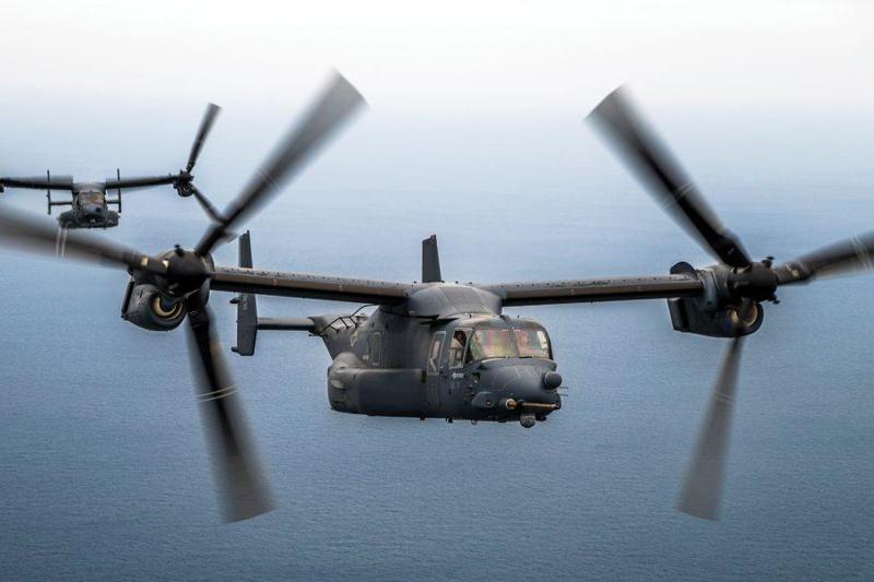 Osprey garden wind spinner