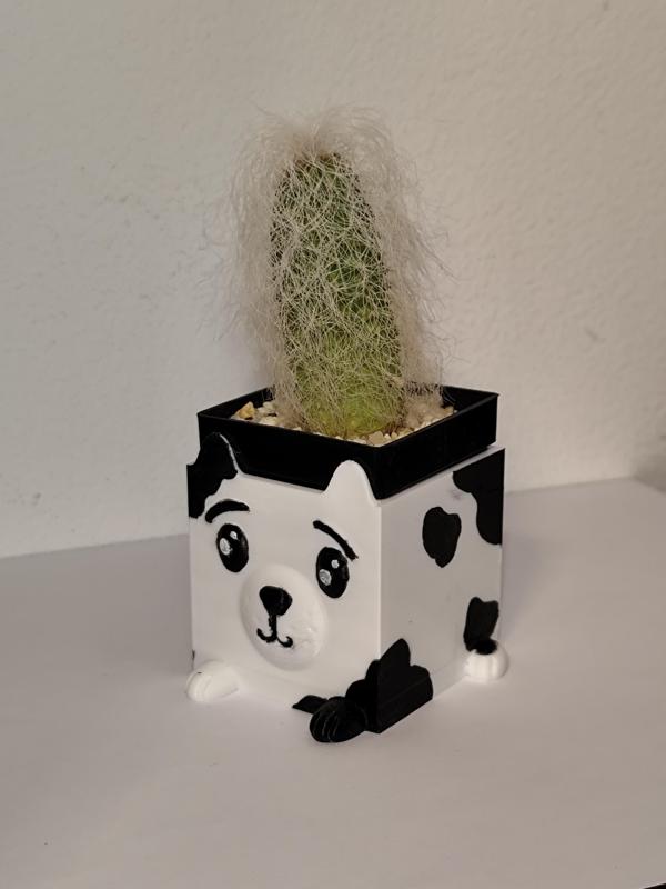 Dog Flower/Cactus Pot