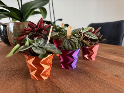 Mini Triangulated Flower Pot