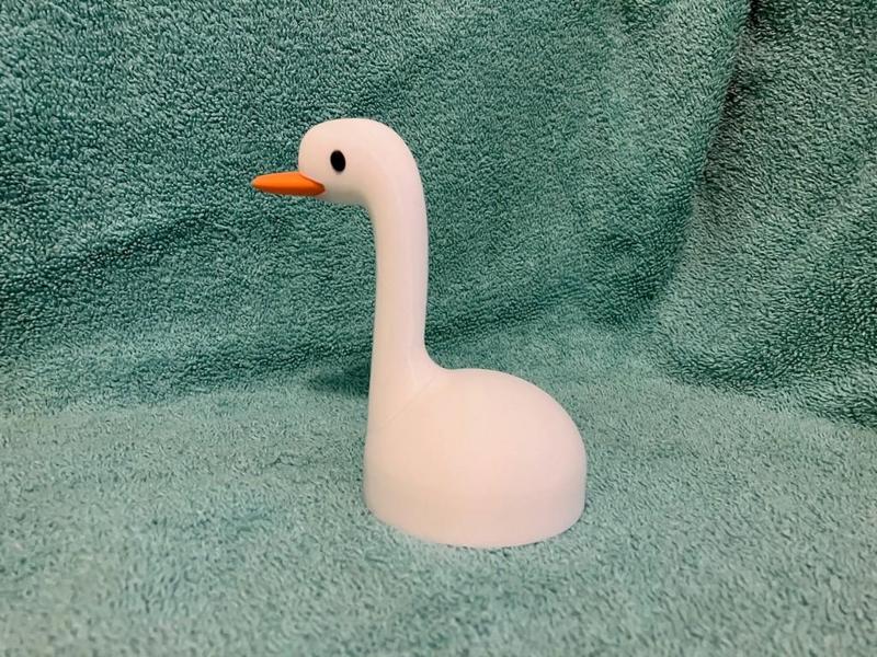 Storage Goose