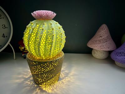 Cactus in a Pot Lamp