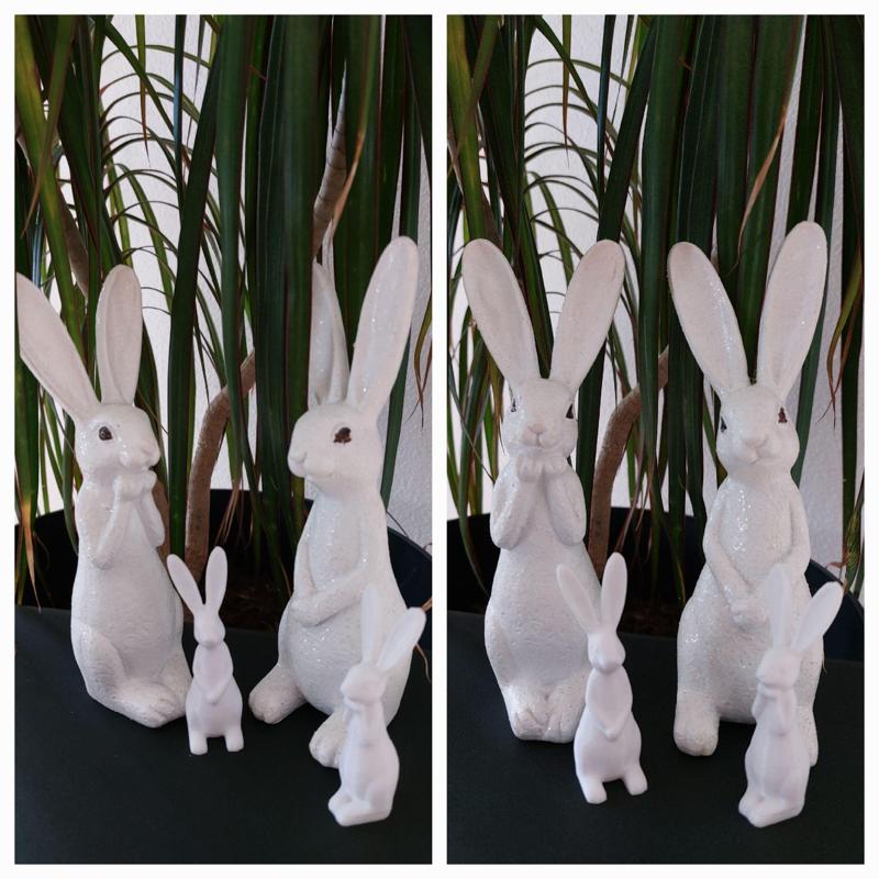 Easter bunnies 5