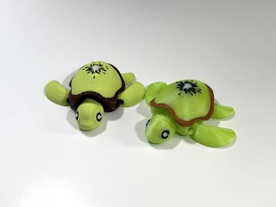 Kiwi Turtle