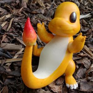 Charmander from Pokemon