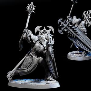 Divine Bulwark (Pose 1 of 3)