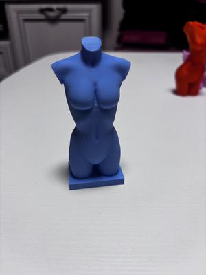 Beautiful woman bust