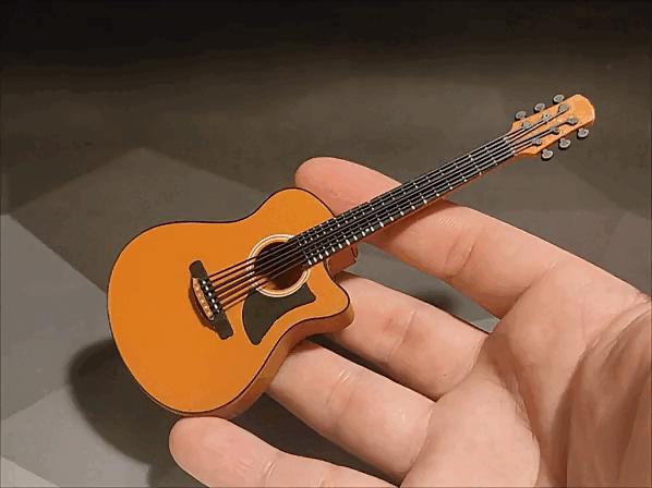 Guitar for picks, sd cards and more!