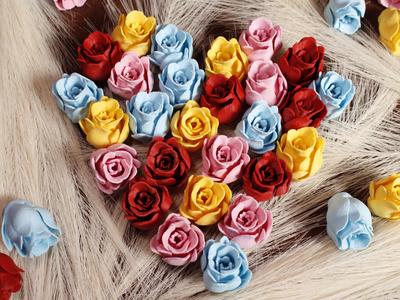 Mini Roses / Cute Rose