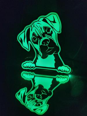 Boxer Dog Light Box LED Lamp