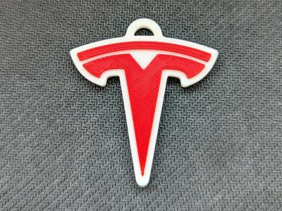 Tesla logo keychain
