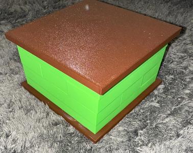 Survivor Block Cube Puzzle