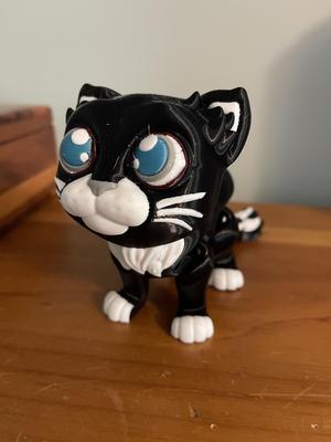 Multicolor Articulated Cat