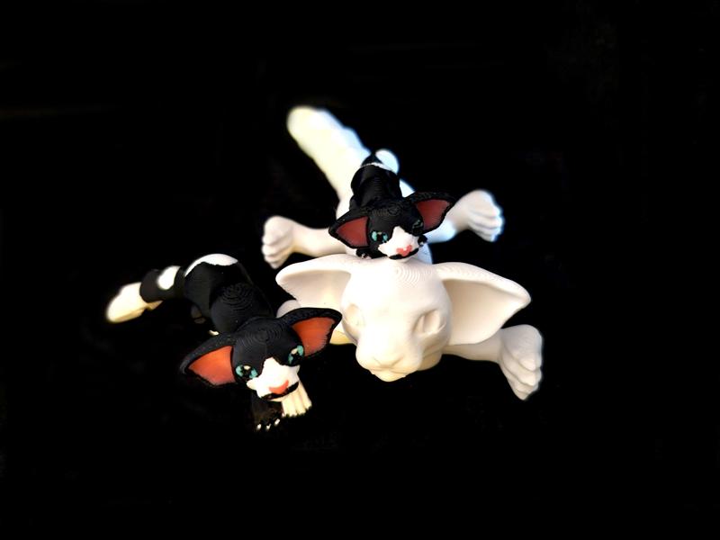 Mini Oriental Shorthair Cat *Personal Use*