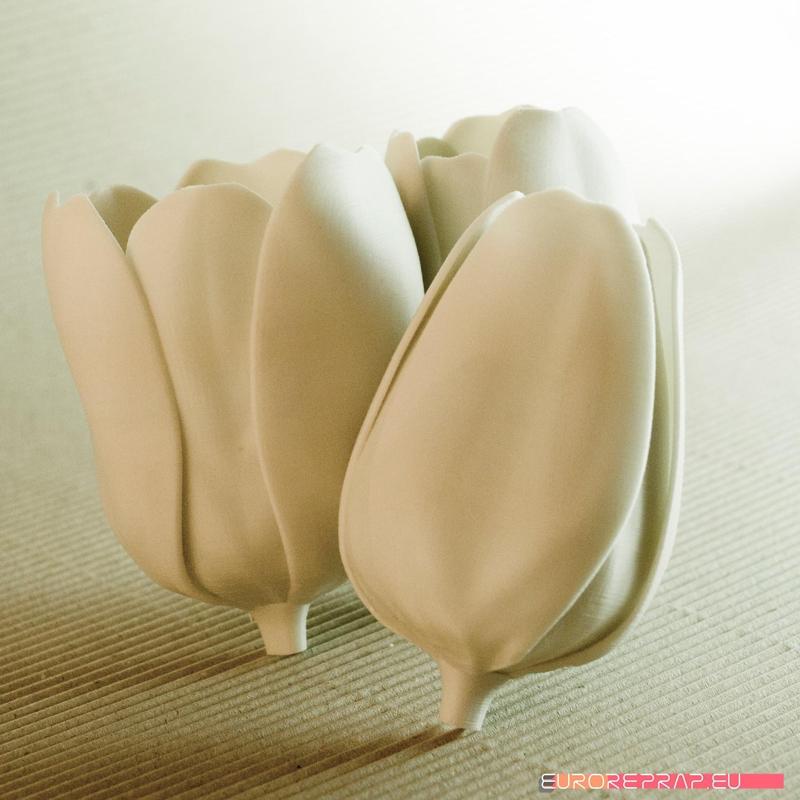 flowers: Tulip - 3D printable model