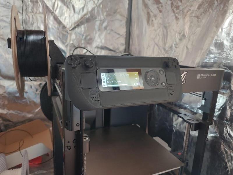 SteamDeck P1P display decoration