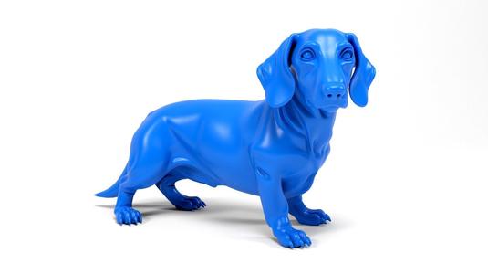 Dachshund dog