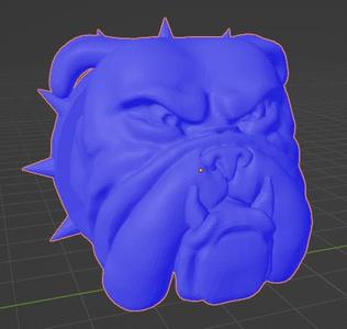 Bulldog head - Pitusa FIM