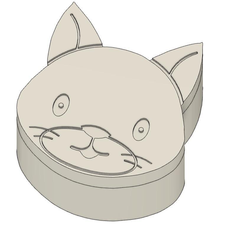 Cat Box