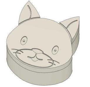 Cat Box