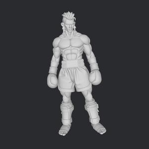 muay-thai fighter