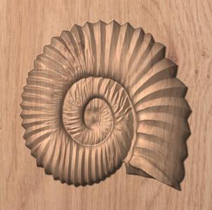 Ammonite CNC Relief – STL 3D Model for Wood Carving | CNC Router Digital File (Personal Use)