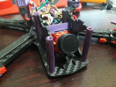 Martian II Caddx Ratel backplate