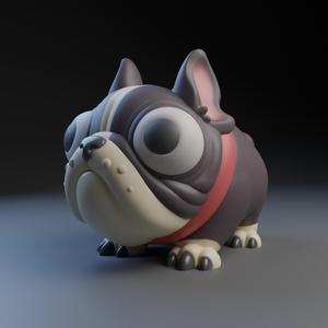 French bulldog