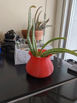 Small Vase