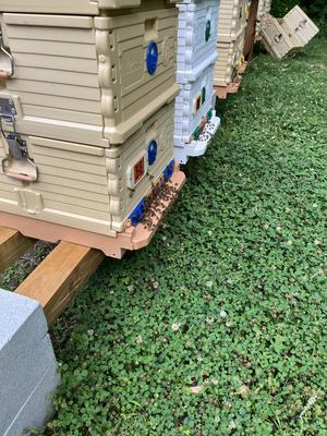 QR code nameplate for Apimaye honey bee hive