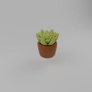 Mini Plant Magnet