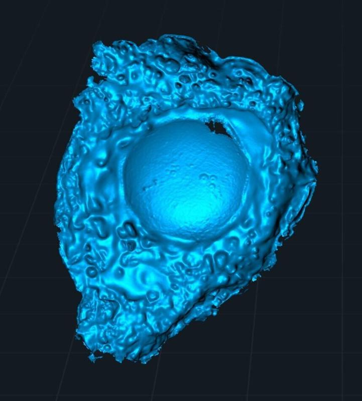 3D Scan – Fried Egg (Raw Mesh STL / OBJ / PLY)